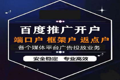 百度推广代运营成功案例解析